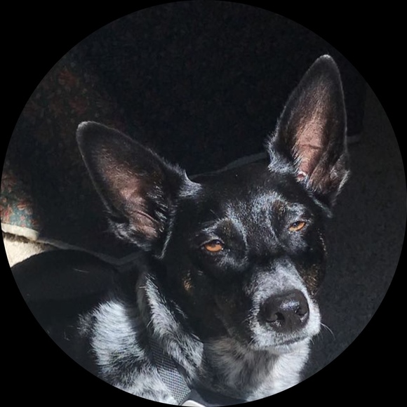 Profile Picture of Violet Orban (@violetcecilia) on Poshmark