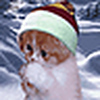Profile Picture of Lori Baron (@kitty says mew) on Flickr