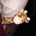 Profile Picture of gerald colucci-kearney (@geraldcoluccikearney) on Instagram