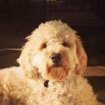 Profile Picture of Amy Cuny (@amy.cuny) on Instagram