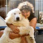 Profile Picture of Lucia Giraldi (@laroccadeipatous) on Instagram