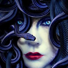 Profile Picture of Lisa Coffman (@@lisacoffman1) on Tiktok