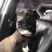 Profile Picture of Bailey Ruff (@bailey.ruff.167) on Facebook