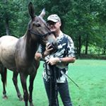 Profile Picture of David Pengelly (@pengellydavid) on Instagram