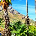 Profile Picture of Mari-Lee McIntyre Olivier (@mari.lee.olivier_photography) on Instagram