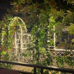 Profile Picture of Thidaouk Lira (@thidaouklira) on Instagram