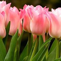 Profile Picture of Marilyn Hannon (@marilyn-hannon-3) on Quora