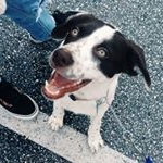 Profile Picture of pacey ernest (@paceysworld) on Instagram
