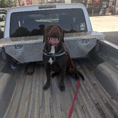 Profile Picture of Alexander K Ferrel (@AlexanderKFerr1) on Twitter