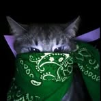 Huxley Rogue - Facebook Profile Picture of Huxley Rogue (@Huxley-Rogue) on Facebook