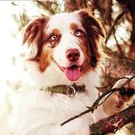 Profile Picture of David Jelínek (@jelinek373) on Instagram