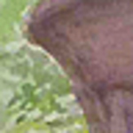 Profile Picture of Joe Valladares (@joe valladares) on Flickr