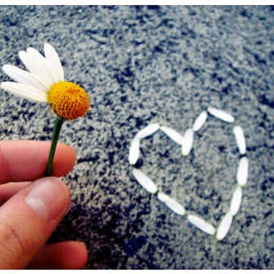 Profile Picture of julia maute (@__Crazzy_Lady) on Twitter