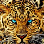 Profile Picture of Hashim Malik (@bazzer25malik) on Instagram