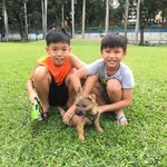 Profile Picture of Ariel Ong Chai Lin (@ariel_oreo) on Instagram