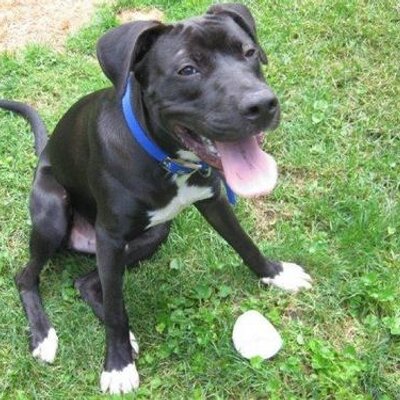 Profile Picture of Dave Meldrum (@davemeldrum7) on Twitter