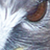 Profile Picture of Ray Klein (@o2beme) on Flickr