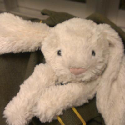 Profile Picture of Emmi Craig (@EmmiTheBunny) on Twitter