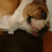 Profile Picture of Efren Monares (@cheetosgaming887) on Youtube