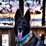 Profile Picture of Jordyn Nichols (@jordyn_n92) on Instagram