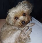 Profile Picture of Bev Blake (@bev.blake.790) on Facebook