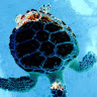 Profile Picture of Patrick Reaves (@patrick-reaves-6) on Quora