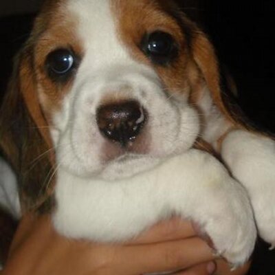 Profile Picture of Bella Hopper (@@Kathy_Bella91) on Twitter