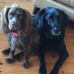 Profile Picture of Lea Watt (@leaannewatt) on Instagram