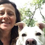 Profile Picture of Paula Subotnik (@paulasubotnik_mckillop) on Instagram