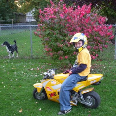 Al  Loftis - Twitter Profile Picture of Al  Loftis (@CRUSHDOG59) on Twitter