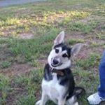 Profile Picture of Cindy Upshaw (@cindy.upshaw) on Instagram