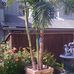 Profile Picture of Palmtree Dan (@palmtree.dan) on Facebook