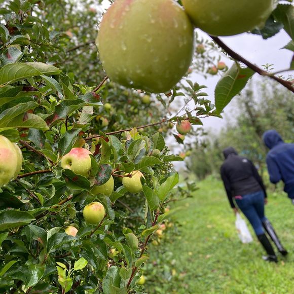 Profile Picture of Claude Jones (@cdv73) on Poshmark