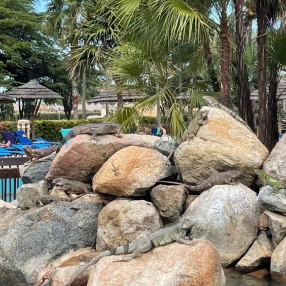 Profile Picture of Cameron Merryfield (@cameronmerryfie) on Poshmark