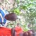 Profile Picture of Plotin Laissoubo (@plotin.laissoubo.3) on Facebook