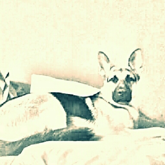 Jennifer Etchason - Poshmark Profile Picture of Jennifer Etchason (@jennjo22) on Poshmark