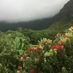 Profile Picture of Kim jersey  Falinski (@tidewaterglacier) on Instagram