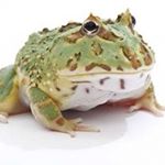 Profile Picture of Boris Ivanoff (@borisivanoof) on Instagram