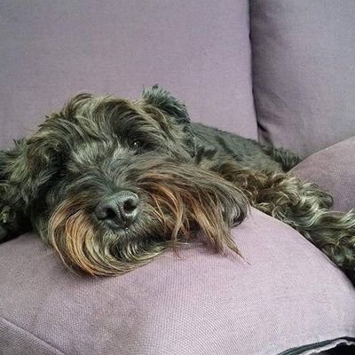 Profile Picture of Barry F. (@BarryF107) on Twitter