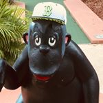 Profile Picture of Shane The Apple Guy (@shane27baseball) on Instagram