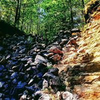Profile Picture of Alexis Heideman (@aheideman0004) on Pinterest