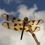 Mark Brousseau - Instagram Profile Picture of Mark Brousseau (@mmerlin007) on Instagram