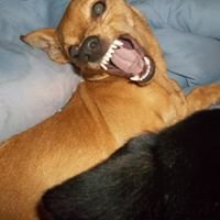 Profile Picture of Eric Muse (@ericmuse12) on Twitter