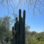 Vicki Slaughter - Instagram Profile Picture of Vicki Slaughter (@vickislaughter) on Instagram