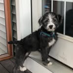 Profile Picture of Nancy Lasson Lustig (@nancy.lassonlustig) on Facebook