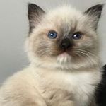 Profile Picture of Loretta S Bortner (@lorettasbortner) on Instagram