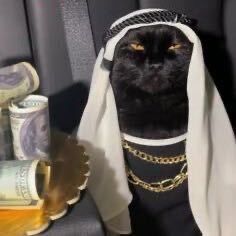 Profile Picture of 𝐌𝐢𝐜𝐡𝐚𝐞𝐥 (@michaelnmri) on Tiktok