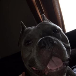 Profile Picture of Gavin Gregory (@gavin.gregory.353) on Facebook