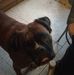 Profile Picture of Serge Dupont (@serge.dupont.165470) on Facebook