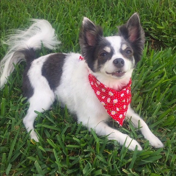 Profile Picture of Inhye Jeon (@jih8946) on Poshmark